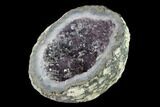 Las Choyas Coconut Geode Half with Amethyst & Calcite - Mexico #145851-2